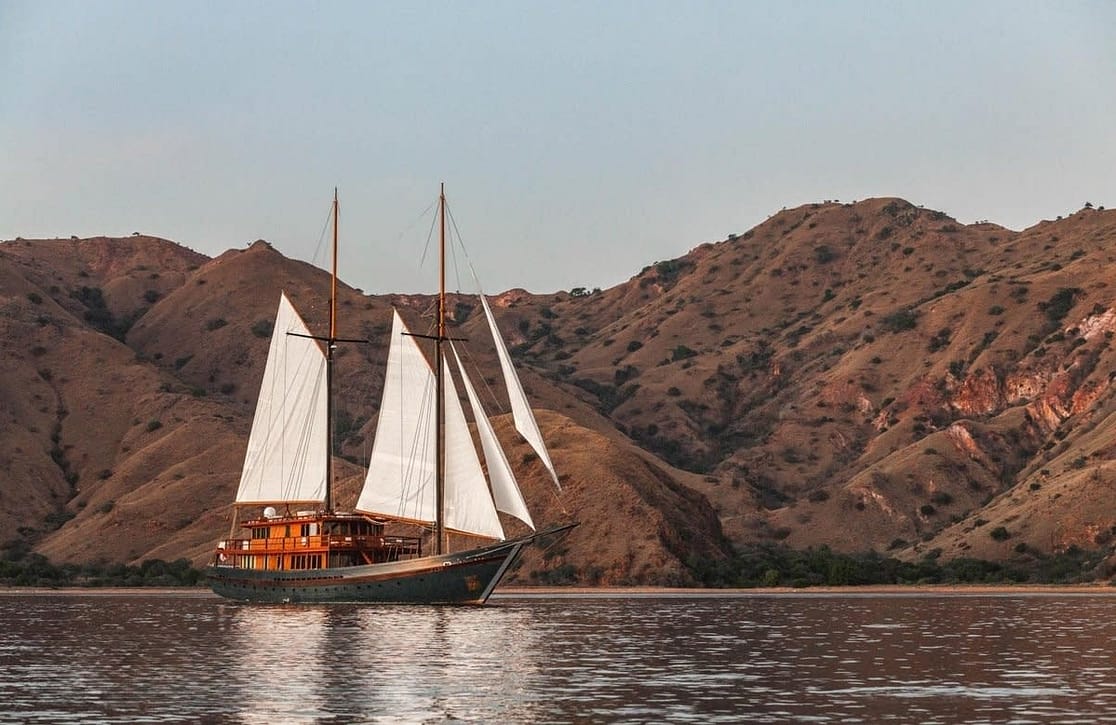 An image of Vela yacht