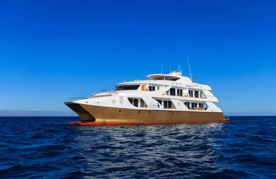 An image of Elite yacht