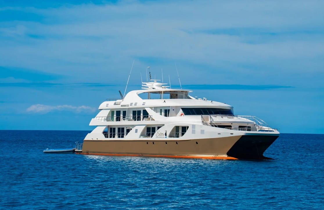 An image of Elite yacht