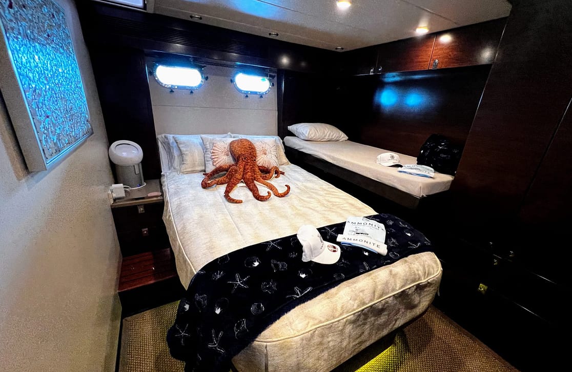 An image of Ammonite yacht
