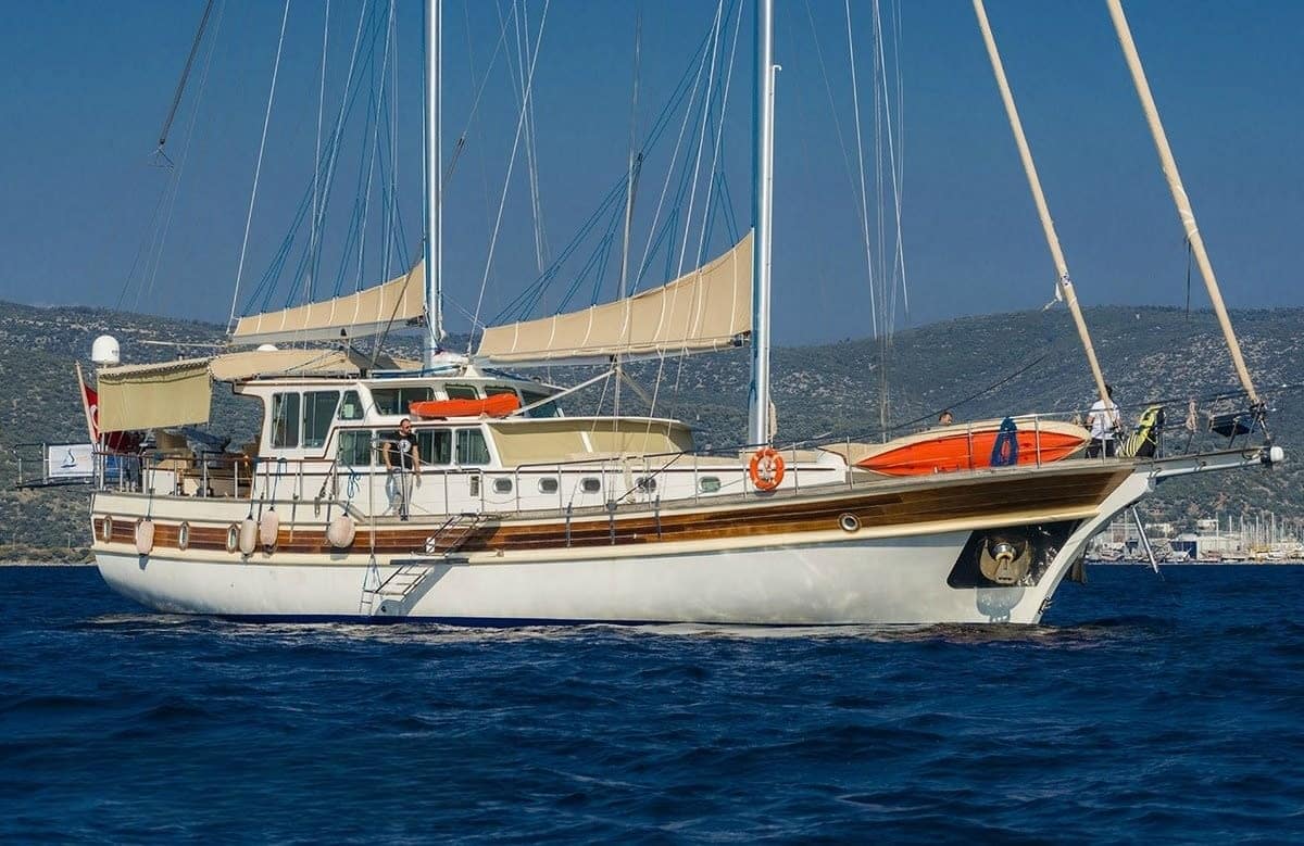 An image of Ece Arina