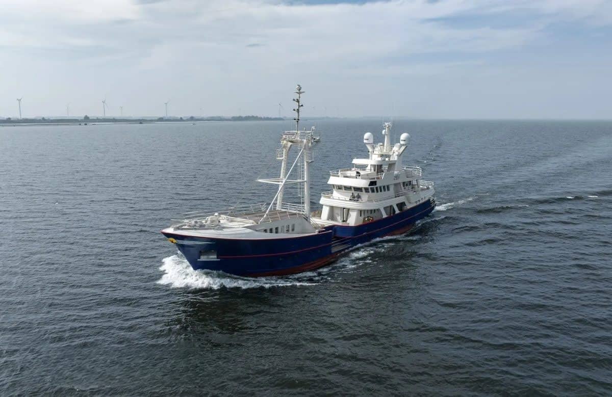 An image of Scintilla Maris