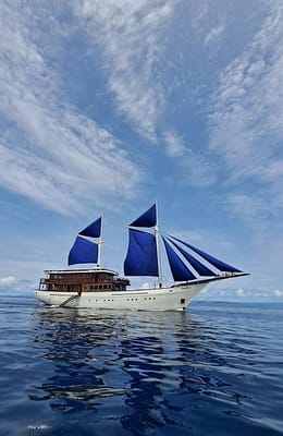 An image of Ocean Pure 1 yacht
