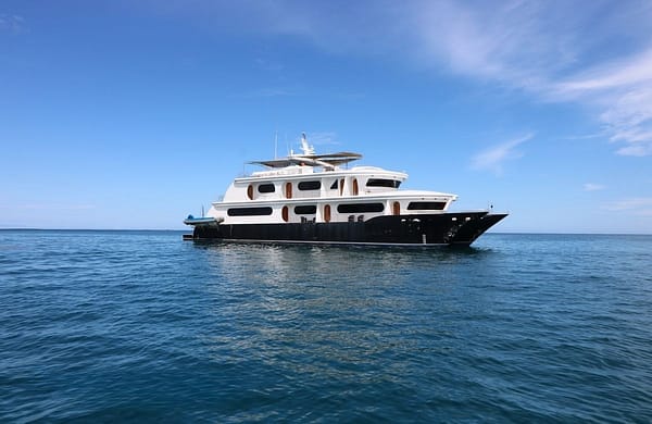 An image of Petrel yacht