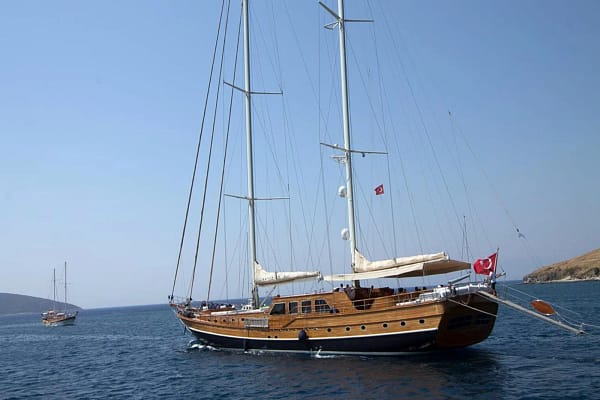 An image of Carpe Diem V yacht