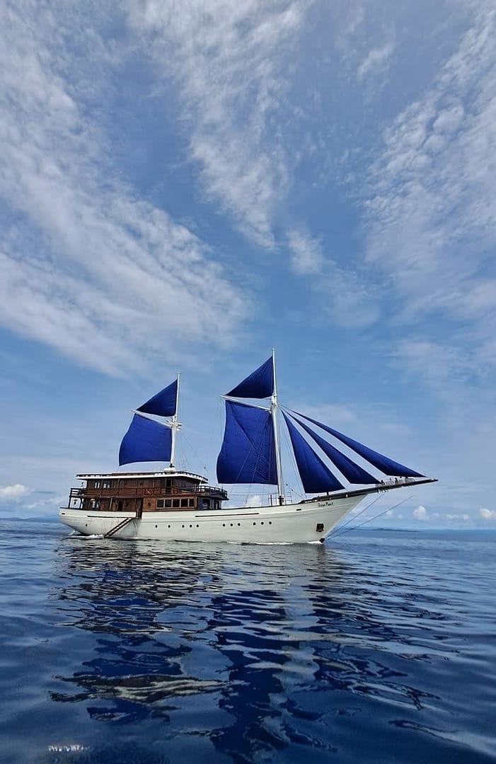 An image of Ocean Pure 1
