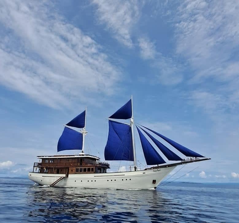 An image of Ocean Pure 1 yacht
