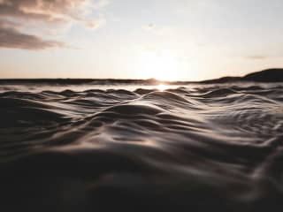 An image of Now Or Never